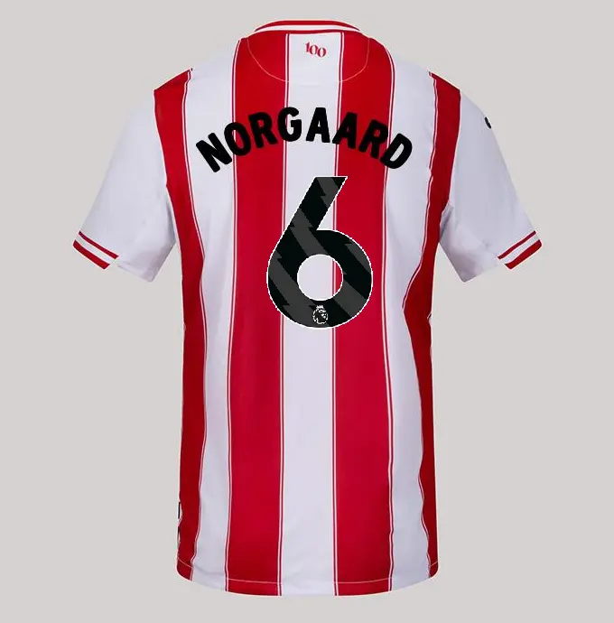 25/26 Brentford Adult Replica Home Shirt - CHRISTIAN NORGAARD 6-2500055-06-NORGAARD 25/26 Brentford Adult Replica Home Shirt - CHRISTIAN NORGAARD 6 - Image 1